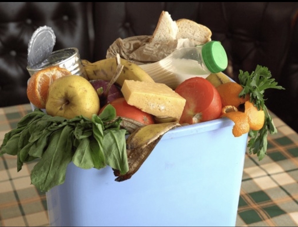 Organic Waste